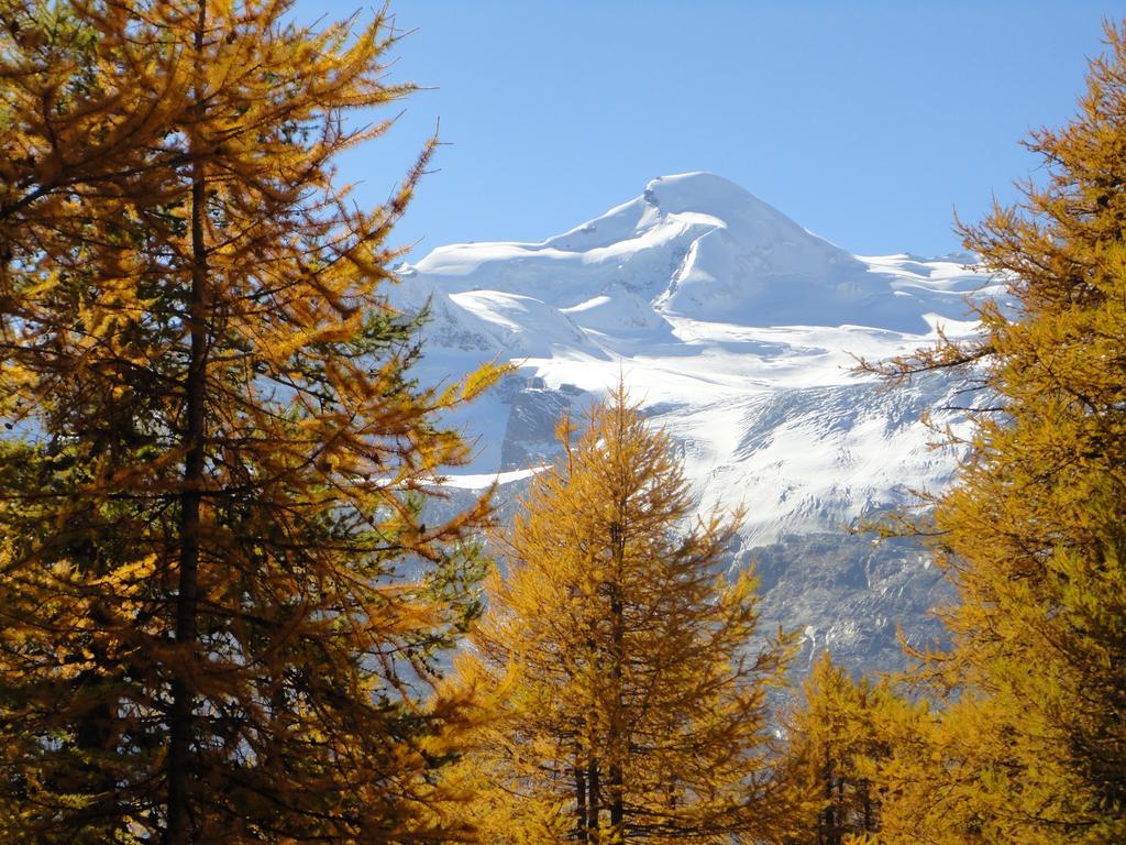 Haus Holiday Saas-Fee Kamer foto